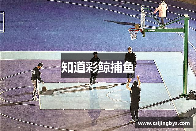 知道彩鲸捕鱼